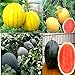Photo Cozy Crib Multicolor Watermelon Mix About 20 Seeds new bestseller 2024-2023
