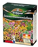Sommerblumenmischung (ohne Gräser) NEU Foto, Bestseller 2024-2023 neu, bester Preis 7,21 € (72,10 € / kg) Rezension