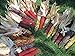 Photo 225 Iowa Indian Corn-Ornamental Seeds High Yeild Colorful Large Ears new bestseller 2024-2023