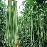 100 Pcs Snake/Yard-Long Asparagus Pole Bean Seeds Heirloom Non-GMO Seeds,for Growing Seeds in The Garden or Home Vegetable Garden Photo, bestseller 2024-2023 new, best price $7.99 review