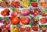 Mixed Seeds! 30 Giant Tomato Seeds, Mix of 19 Varieties, Heirloom Non-GMO, Brandywine Black, Red, Yellow & Pink, Mr. Stripey, Old German, Black Krim, from USA Photo, bestseller 2024-2023 new, best price $5.69 ($0.19 / Count) review