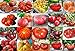 Photo Mixed Seeds! 30 Giant Tomato Seeds, Mix of 19 Varieties, Heirloom Non-GMO, Brandywine Black, Red, Yellow & Pink, Mr. Stripey, Old German, Black Krim, from USA new bestseller 2024-2023