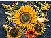 Photo Sunflower Autumn 20K (CHK) Seeds Or 1 Pound new bestseller 2024-2023