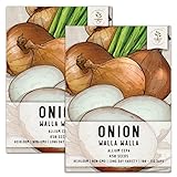 Seed Needs, Walla Walla Onion Seeds for Planting (Allium cepa) Twin Pack of 450 Seeds Each Non-GMO Long Day Photo, bestseller 2024-2023 new, best price $8.85 review