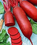 Seeds4planting - Seeds Beet Rival Red Giant Heirloom Vegetable Non GMO Photo, bestseller 2024-2023 new, best price $6.94 review
