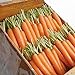 Photo David's Garden Seeds Carrot Napoli 1122 (Orange) 200 Non-GMO, Hybrid Seeds new bestseller 2024-2023
