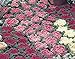 Photo flowering kale Flowering Cabbage -Nagoya Mix’ - 40 Seeds , ornamental kale new bestseller 2024-2023