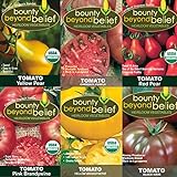 Tomato Seeds /Heirloom Tomatoes, Open Pollinated Garden Seed - Black Krim, Cherokee Purple, Yellow Brandywine, Red Pear, and Yellow Pear Photo, bestseller 2024-2023 new, best price $9.99 review