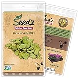 Organic Bean Seeds, APPR. 30, Windsor Fava Bean, Heirloom Vegetable Seeds, Certified Organic, Non GMO, Non Hybrid, USA Photo, bestseller 2024-2023 new, best price $7.99 review