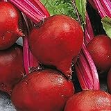 Bulk Organic Detroit Dark Red Beet Seeds Non GMO (1 Lb) Photo, bestseller 2024-2023 new, best price $16.95 review