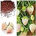 Photo MOCCUROD 300pcs White Alpine Strawberry Fragaria Vesca Pineberry Sweet Pineapple Flavour Seeds new bestseller 2024-2023