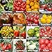 Photo Set de graines de tomates PRADEMIR – 16 variétés de tomates - Graines 100% naturelles du Portugal - Variétés rares et anciennes à haut taux de germination. nouveau best-seller 2024-2023