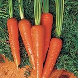 Carrot Seeds - Moonraker Pelleted - 10,000 Seeds Photo, bestseller 2024-2023 new, best price $20.99 ($0.00 / Count) review