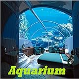 Aquarium Foto, Bestseller 2024-2023 neu, bester Preis 0,92 € Rezension