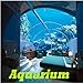 Foto Aquarium neu Bestseller 2024-2023