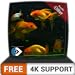 Photo FREE Beautiful Aquarium HD - Decorate your room with beautiful Aquarium on your HDR 4K TV, 8K TV and Fire Devices as a wallpaper, Decoration for Christmas Holidays, Theme for Mediation & Peace new bestseller 2024-2023