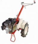   ЗиД Фаворит (Honda GX-160) walk-hjulet traktor Foto