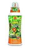 Compo 2140902011 – Fertilizzante Cactus di 500 ml foto, bestseller 2024-2023 nuovo, miglior prezzo EUR 16,60 recensione