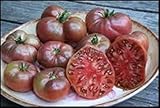 30 CHEROKEE PURPLE pomodori Sementi HEIRLOOM 2018 (sementi cimelio vegetali non OGM) foto, bestseller 2024-2023 nuovo, miglior prezzo EUR 10,99 recensione