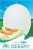 Portal Cool 1 confezione Semi di melone bianco zucchero semi zucchero miele melone whitebark melone dolce pianta foto, bestseller 2024-2023 nuovo, miglior prezzo EUR 9,99 recensione