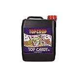 Top Crop - Top Candy - 5L foto, bestseller 2024-2023 nuovo, miglior prezzo EUR 31,30 recensione