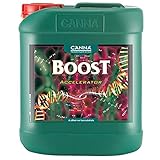 BOOST Accelerator 5 L – canna foto, bestseller 2025-2024 nuovo, miglior prezzo EUR 174,72 recensione