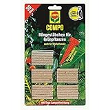 COMPO Grünpflanzen- und Palmen Düngestäbchen mit Guano,30 Stäbchen Foto, Bestseller 2024-2023 neu, bester Preis EUR 7,61 Rezension