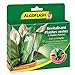 Photo ALGOFLASH Monodose Revitalisante Plantes vertes & plantes fleuries - 30 ml nouveau best-seller 2024-2023