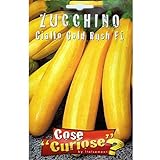 Vivai Le Georgiche Zucchino Giallo Gold Rush F1 (Semente) foto, bestseller 2024-2023 nuovo, miglior prezzo EUR 6,50 recensione
