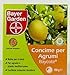 Photo Bayer - Baycote Citrus engrais nouveau best-seller 2024-2023