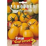 Semi - Pomodoro ciliegino giallo - Cherry yellow foto, bestseller 2024-2023 nuovo, miglior prezzo EUR 6,35 recensione