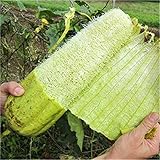 Semi Zucca Luffa foto, bestseller 2025-2024 nuovo, miglior prezzo EUR 7,39 recensione