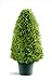 Photo National Tree Company Artificial Shrub | Includes Pot Base | Upright Juniper - 30 Inch new bestseller 2024-2023