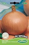Germisem de Setúbal Semillas de Cebolla 3 g (EC1005) Foto, éxito de ventas 2024-2023 nuevo, mejor precio 2,70 € revisión
