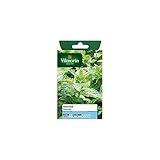 Vilmorin - Sachet graines Menthe poivrée Photo, best-seller 2024-2023 nouveau, meilleur prix 5,85 € examen