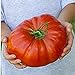 Photo Steakhouse Tomato Seeds (20+ Seeds) | Non GMO | Vegetable Fruit Herb Flower Seeds for Planting | Home Garden Greenhouse Pack new bestseller 2024-2023