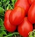 Photo 250 Roma VF Tomato Seeds | Non-GMO | Heirloom | Instant Latch Garden Seeds | Vegetable Seeds new bestseller 2024-2023
