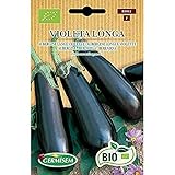 Germisem Aubergine VIOLETA LONGA, ECBIO5012 Foto, Bestseller 2025-2024 neu, bester Preis 3,99 € Rezension