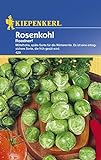 Rosenkohl Roodnerf spät Foto, Bestseller 2024-2023 neu, bester Preis 2,49 € Rezension