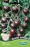 Germisem Black Cherry Tomate 20 Semillas (EC8020) Foto, éxito de ventas 2024-2023 nuevo, mejor precio 2,21 € revisión
