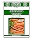 Photo Imperator Carrot Seeds - 500 Seeds Non-GMO new bestseller 2024-2023