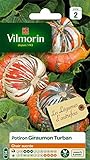 VILMORIN Potiron Giraumon Turban Foto, éxito de ventas 2024-2023 nuevo, mejor precio 9,75 € revisión