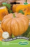 Germisem Muscade de Provence Semillas de Calabaza 3 g Foto, éxito de ventas 2024-2023 nuevo, mejor precio 2,21 € revisión