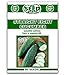 Photo Straight Eight Cucumber Seeds - 50 Seeds Non-GMO new bestseller 2024-2023