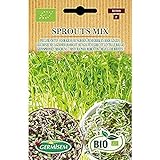 Germisem Orgánica Sprouts Mix Semillas 20 g (ECBIO1900) Foto, éxito de ventas 2024-2023 nuevo, mejor precio 3,99 € revisión