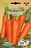 Germisem Orgánica Kuroda Semillas de Zanahoria 4 g, ECBIO9025 Foto, éxito de ventas 2024-2023 nuevo, mejor precio 3,99 € revisión
