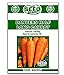 Photo Danvers Half Long Carrot Seeds - 1000 Seeds Non-GMO new bestseller 2024-2023