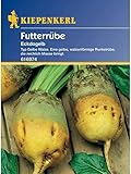 Kiepenkerl Futterrüben Eckdogelb Foto, Bestseller 2025-2024 neu, bester Preis 4,78 € Rezension