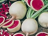 Radieschen - Radies - Winterradieschen - Wassermelone (100 Samen) Foto, Bestseller 2025-2024 neu, bester Preis 2,15 € (0,02 € / stück) Rezension