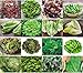 Foto Salate Saat 16 x 100 Saatgut Salat Mix 100% Natursamen handverlesen aus Portugal, seltene und alte Sorten, Samen mit hoher Keimrate, Salatsamen für Garten, Balkon, Terrasse, Gewächshaus neu Bestseller 2024-2023